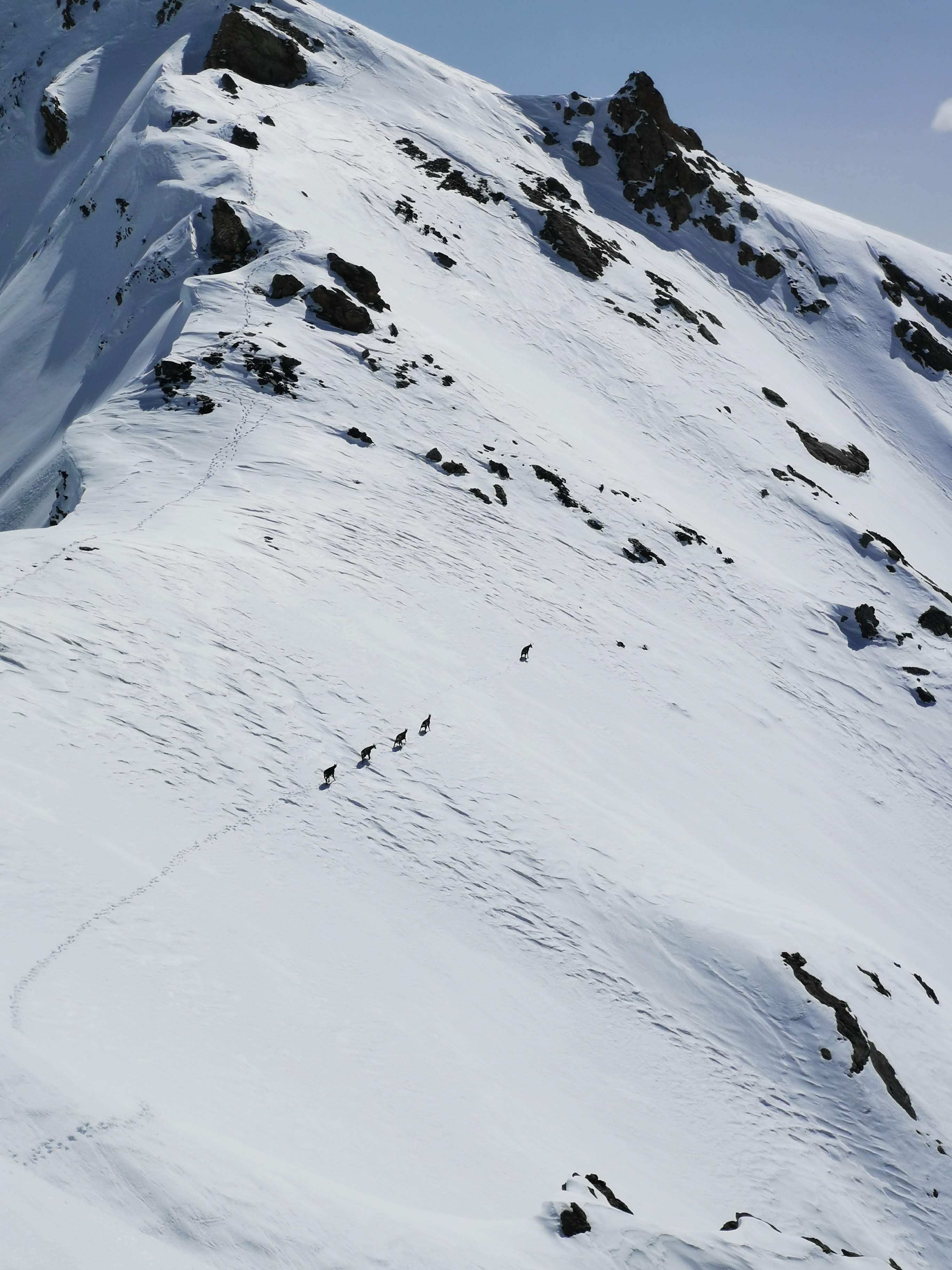 Traversée des Cerces